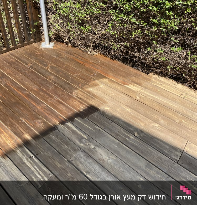 דק עץ עם גדר מתכת ושיחים ירוקים